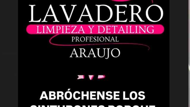 Limpieza de vehículos