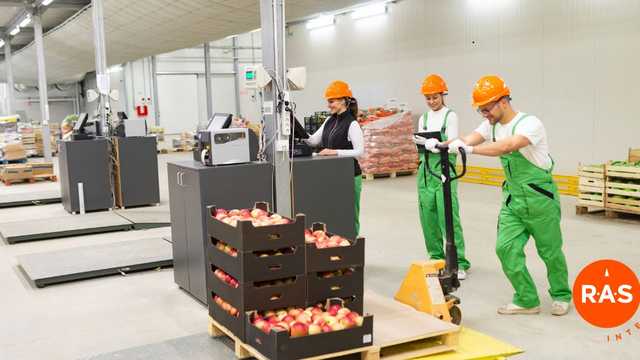 CARRETILLERO/A SECTOR HORTOFRUTÍCOLA