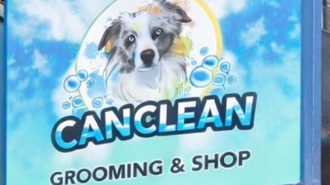 CaNCLEAN cover image