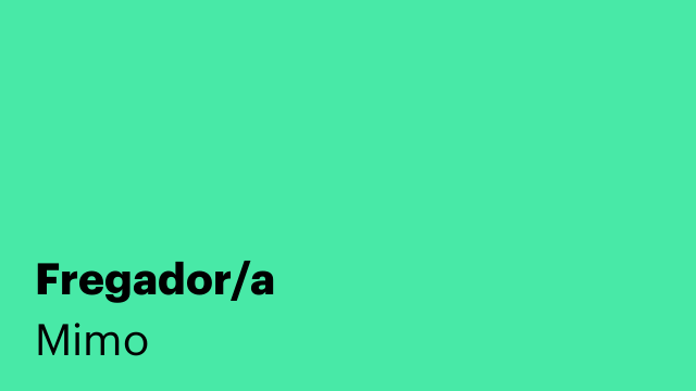 Fregador/a