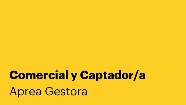 Comercial y Captador/a
