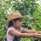 Ramez G. avatar icon