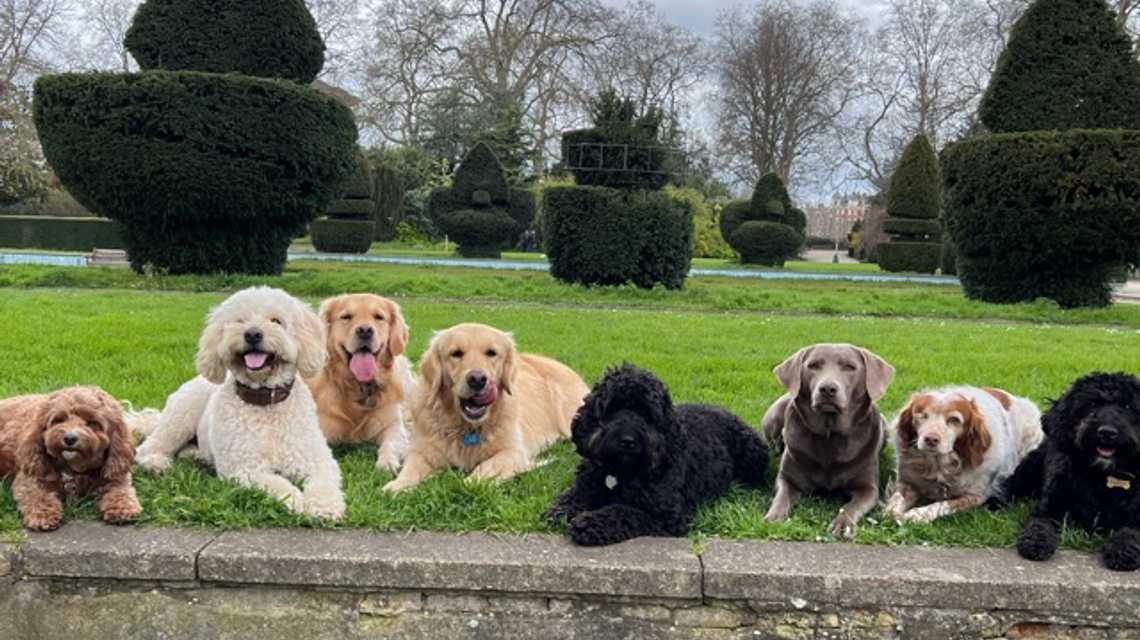 Pawsome Adventures London cover image