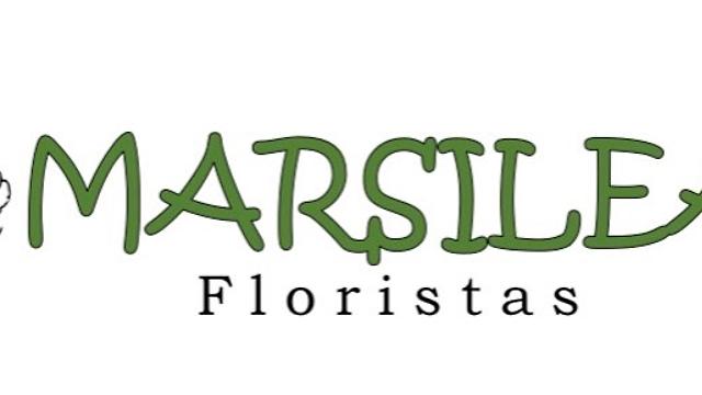 Ayudante/a de Florista