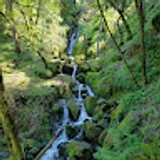 Ameen M. avatar icon