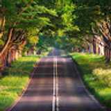 nacho R. avatar icon