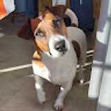 Sergio M. avatar icon