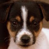 CHARTER C. avatar icon