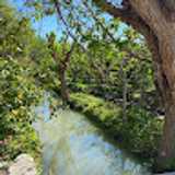 Tomás C. avatar icon