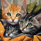 Mel L. avatar icon