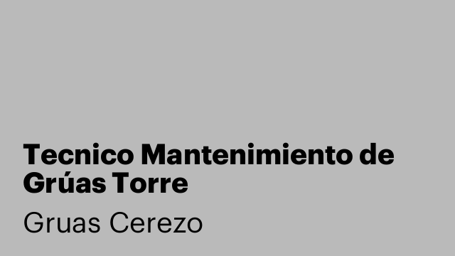 Tecnico Mantenimiento de Grúas Torre