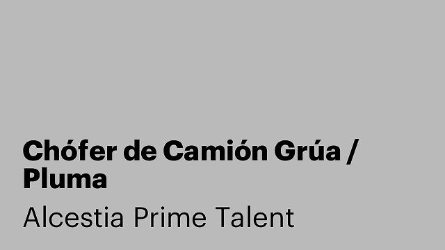 Chófer de Camión Grúa / Pluma
