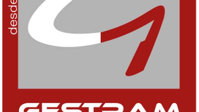 EMPLEADO DE GESTORIA DE AUTOMOCION