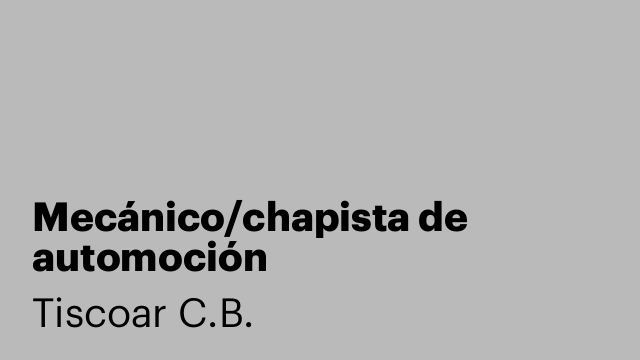 Mecánico/chapista de automoción