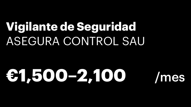 Vigilante de Seguridad