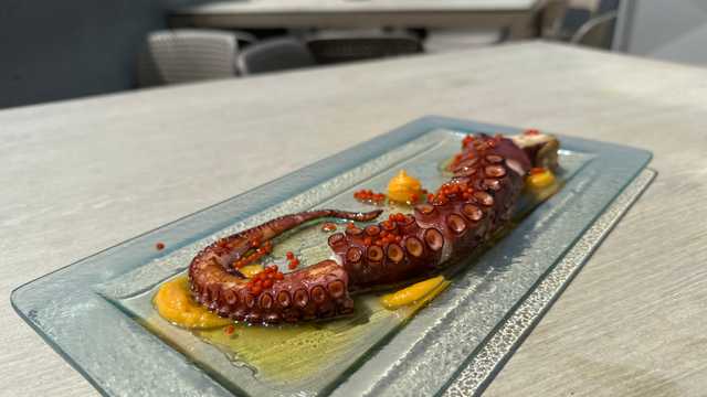 Cocinero/a