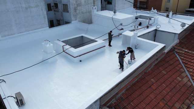 Pintor/a
