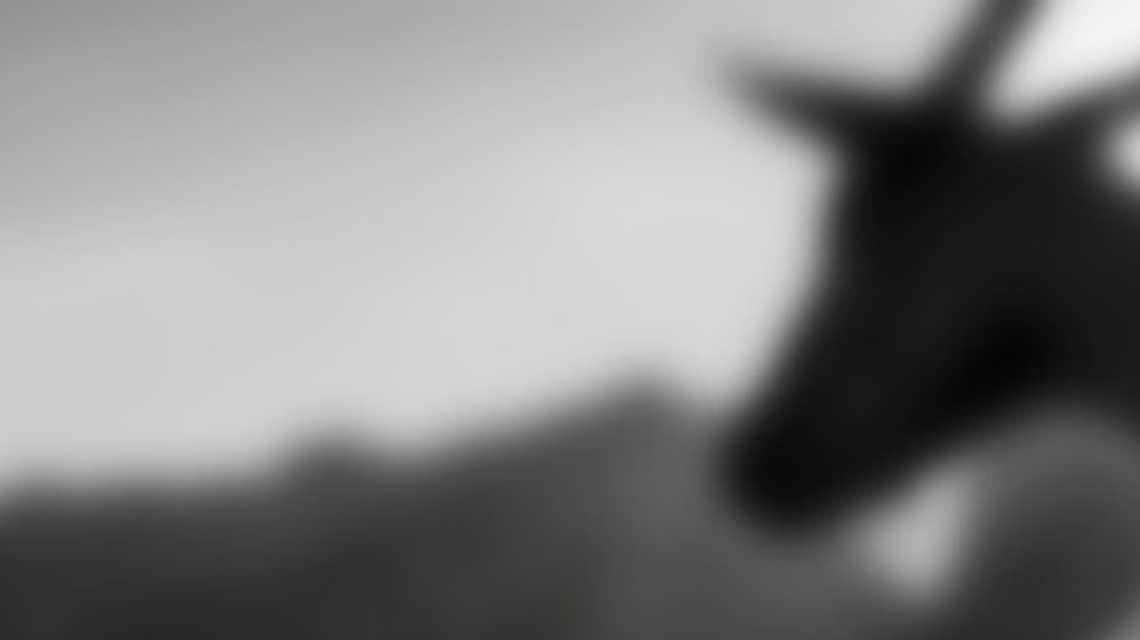 Caprae Capital Partners cover image