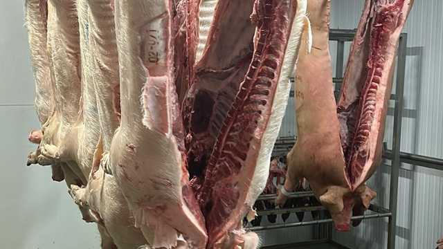 OPERARIO/A DE MATADERO – DESPIECE Y MANEJO DE CUCHILLO