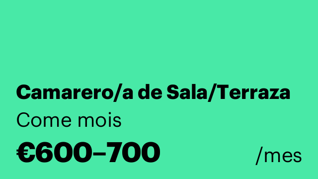 Camarero/a de Sala/Terraza