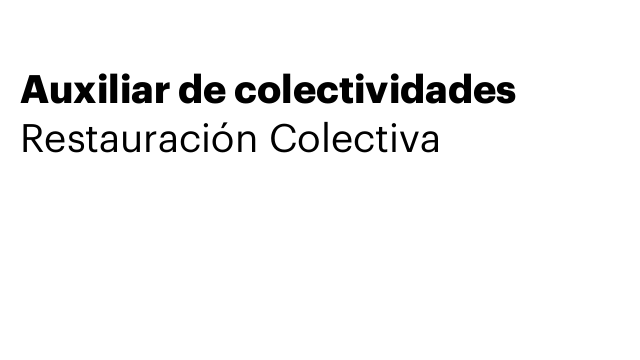 Auxiliar de colectividades