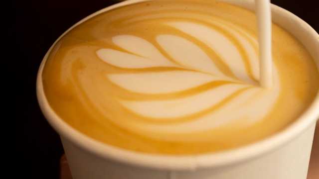 Barista de Café de Especialidad y Matcha (sustitución de verano)