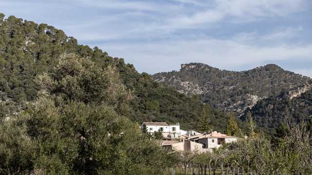 Segundo Jefe de Cocina