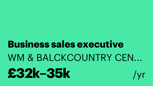 Business sales executive
