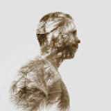 A flor D. avatar icon