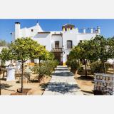 Sofia .. avatar icon