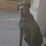 Francisco M. avatar icon