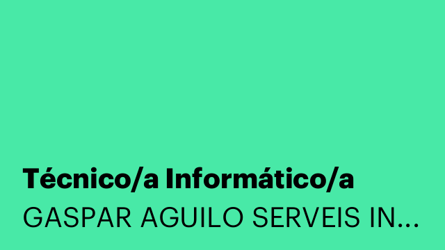 Técnico/a Informático/a