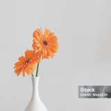 Javier S. avatar icon