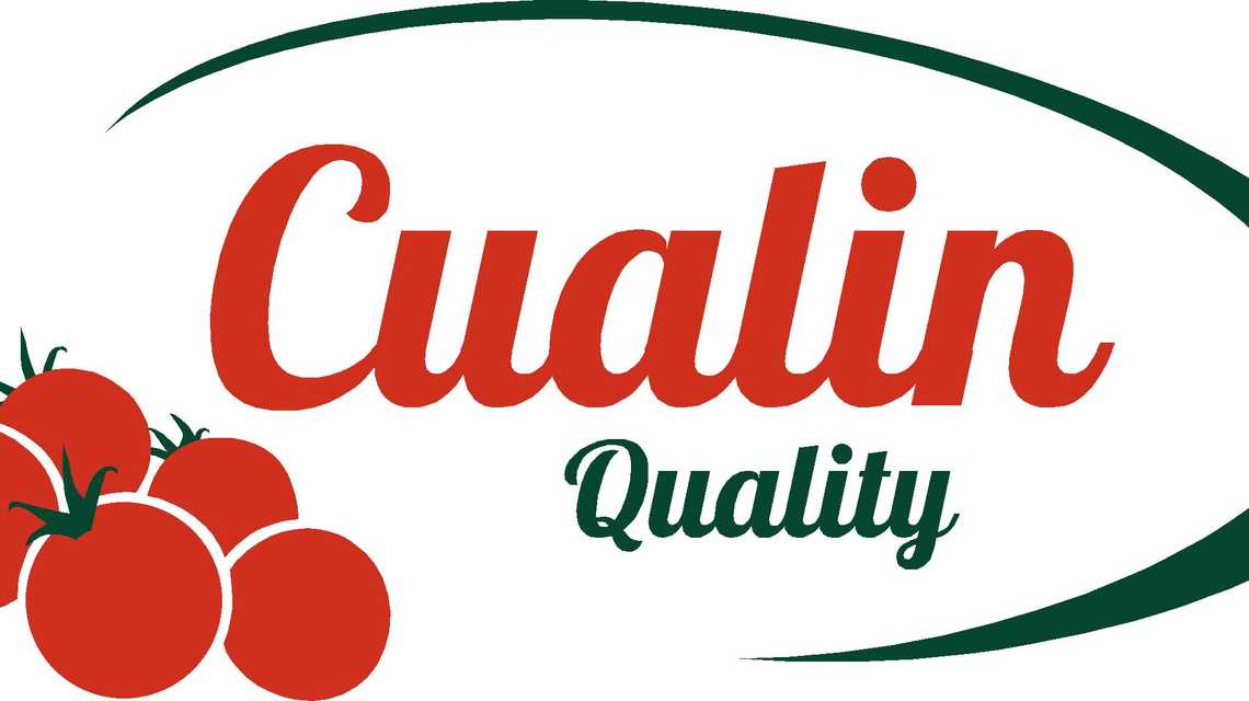 CUALIN QUALITY cover image
