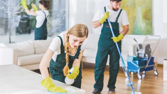 Cleaner
