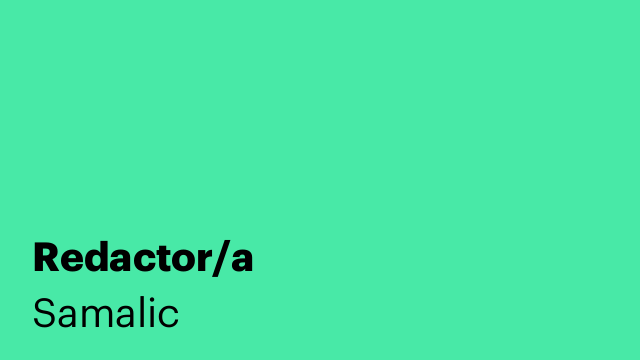 Redactor/a