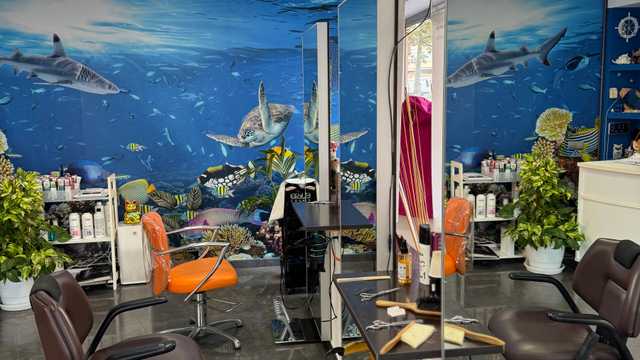 Ayudante/a de Peluquería