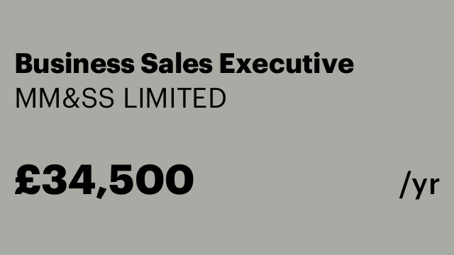 Business Sales Executive