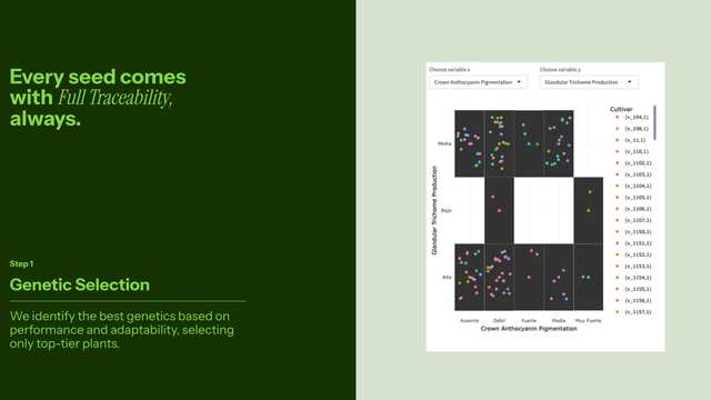 Administrativo/ ayudante de almacén