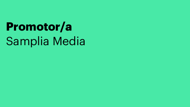 Promotor/a