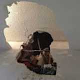 Jose Antonio G. avatar icon