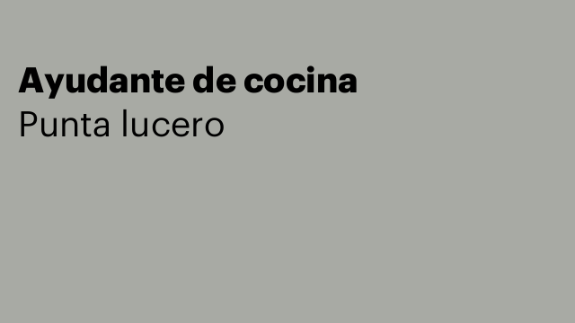 Ayudante de cocina