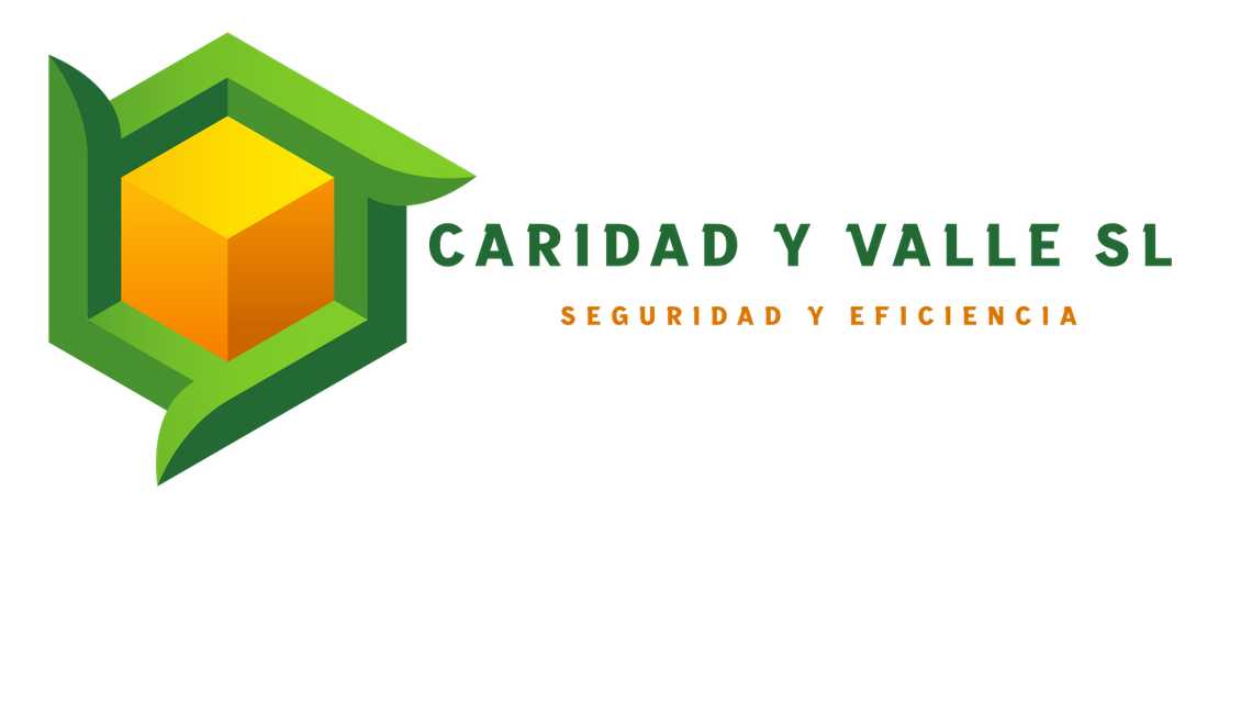 TRANSPORTE CARIDAD Y VALLE S. L. cover image