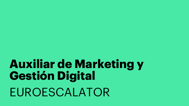 Auxiliar de Marketing y Gestión Digital