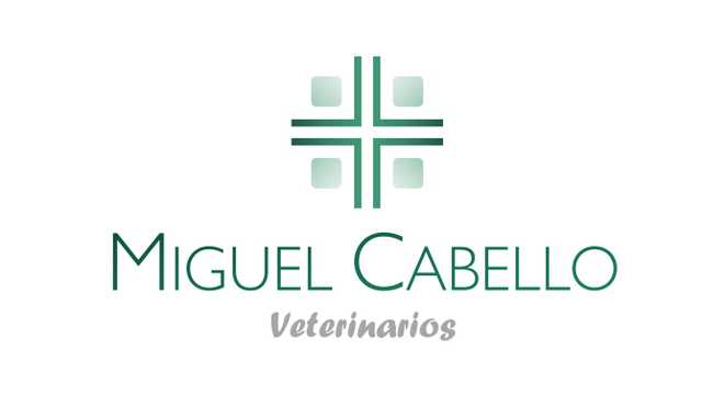 Veterinario/a