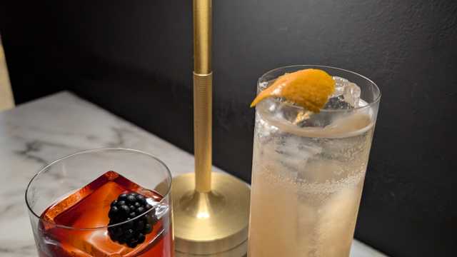 Bartender coctelería