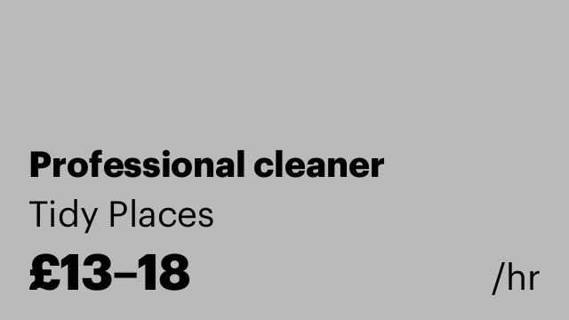 Professional cleaner
