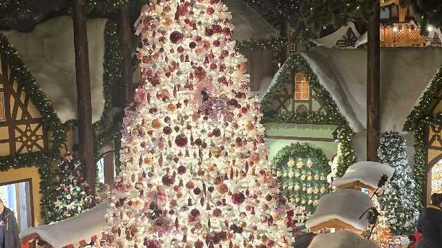 Camarera/o Disco jornada completa