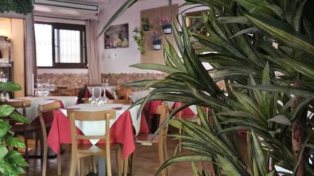 Camarero/a de Sala/Terraza
