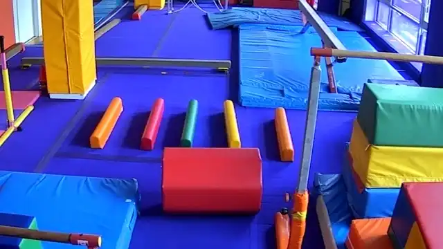 Gymnastics instructor